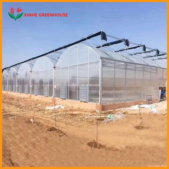 Stabile Struktur Foliengewächshaus Gartenhaus