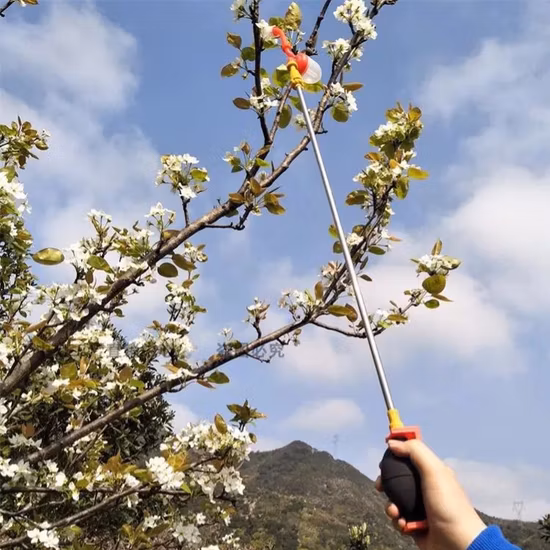 Manuelles Bestäubungsgerät für Obstbäume, Gemüsebestäuber