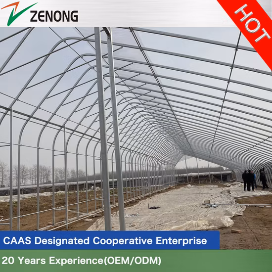 Solargewächshaus-Gartenhaus mit feuerverzinktem Stahlkonstruktionsfilm